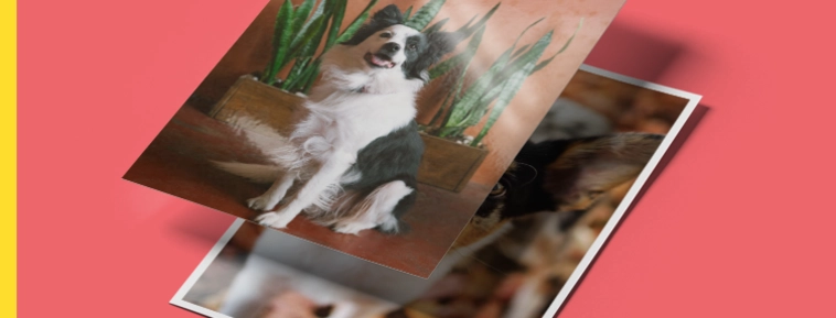 Klassisk foto­utskrift